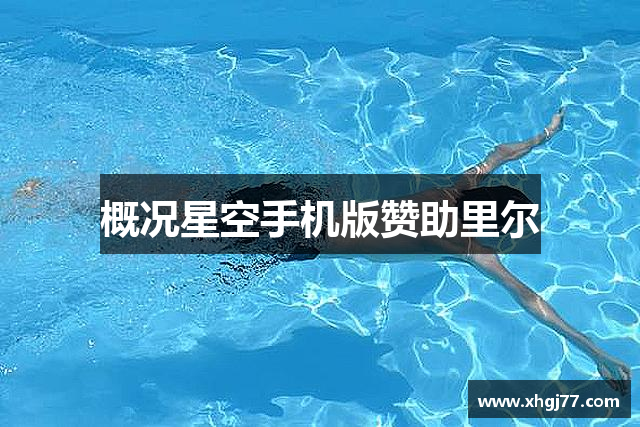 概况星空手机版赞助里尔